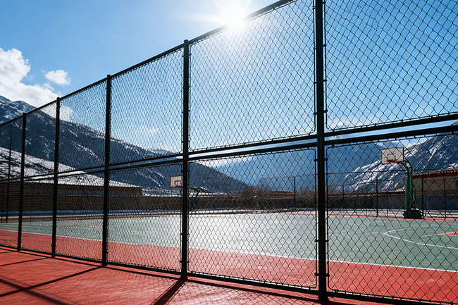 2025 篮球场围网多少钱一米？精准报价与选型指南(图1)