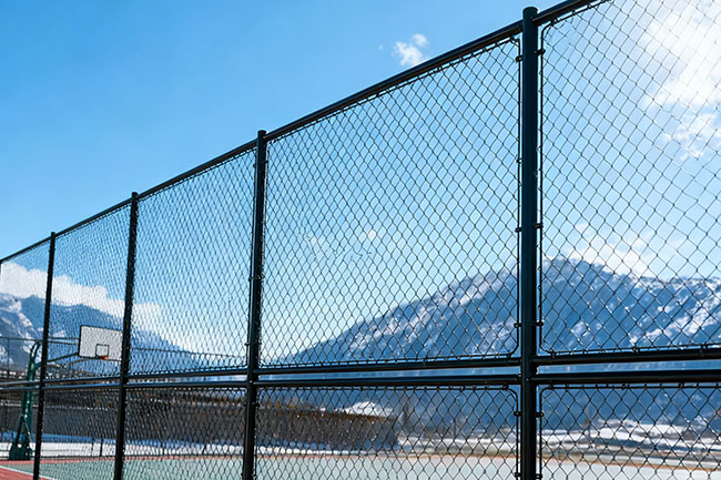 2025 篮球场围网多少钱一米？精准报价与选型指南(图2)