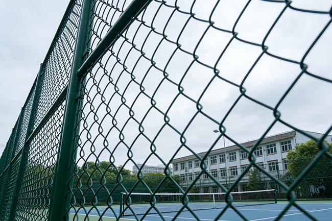 惊！球场围网价差超百元！2025 预算攻略：从 85 元到 210 元 / 米怎么选(图2)