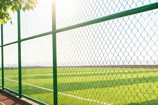 球场围网效果图