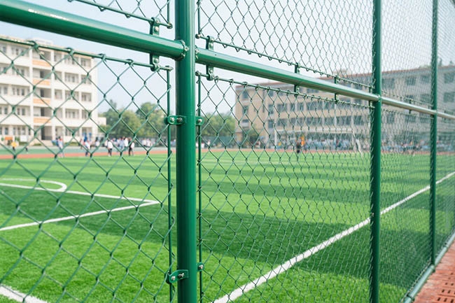 球场围网效果图