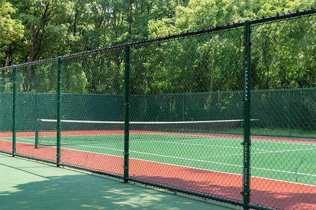 球场围网效果图